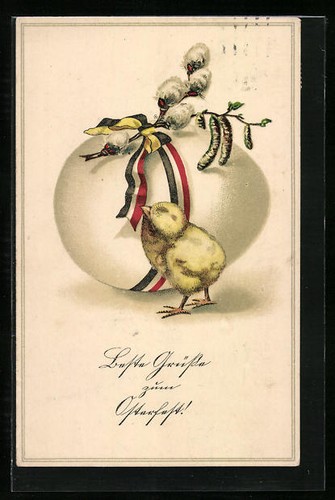 Cartolina artista pulcini di - cartolina,