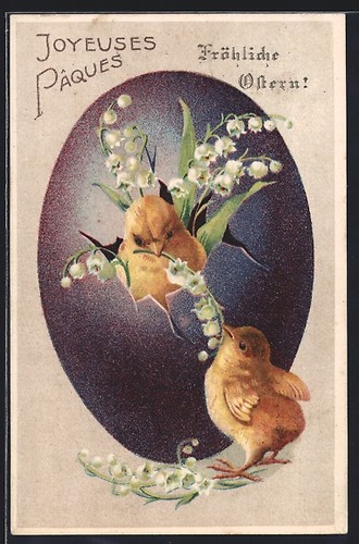 Cartolina pulcini pasqua - pulcini, di