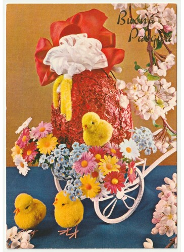 1976 foto cartolina - , pasquale