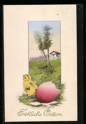 Cartolina pulcini pasqua - cartolina, di